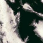 tie dye leaves black