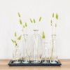 Storied Home Black Wood Tray with Glass Bottle Vases, Set of 5 Sizes - 4 of 4