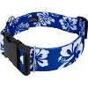 Country Brook Petz 1 1/2 Inch Deluxe Dog Collar - Summer Breeze Collection - 4 of 4