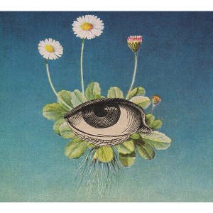 Ojerum - The Limited Circle Is Pure (CD) - 1 of 1