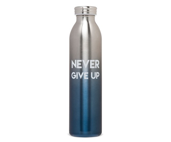 20oz Stainless Steel Insulated Retro Water Bottle - Teal Metallic Ombre