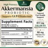 GLP-1 Akkermansia Probiotic Supplement for Women & Men, Akkermansia Muciniphila GLP 1 Probiotics with Prebiotic -120 Capsules By Nature's Nutrition - 2 of 4