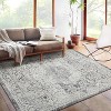 Acekool Area Rug Soft Plush Non Shedding Low Pile Stain Resistant Non Slip Accent Carpet for Living Room Bedroom Nursery - 2 of 4
