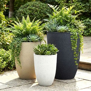 15 gallon plant pots Nursery Supplies - 15 Gallon Econo Grip Squat Container main image 0