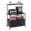 VECELO 2-Drawer Lateral File Cabinet, Rolling Printer Stand with 3 Open Storage Shelf, Fits A4 or Letter Size - image 2 of 4