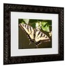 Trademark Fine Art - Leslie Montgomery Eastern Tiger Swallowtail Butterfly Wingspan Matted Framed Art - 3 of 4