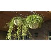 Ultimate Innovations 2pk 11" Steel Self Watering Hanging Baskets White - 3 of 4