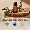 Gya Labs Australian Tea Tree Essential Oil for Skin - 0.34 Fl Oz - Melaleuca Tea Tree Oil for Hair - 4 of 4