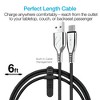 Naztech TITANIUM USB to USB-C Braided Cable - 3 of 4