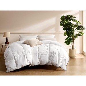 WEST COAST TEXTILES Ultra Soft All-Season Fluffy Down Comforter - 1 of 3