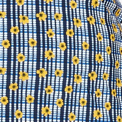sunflower picnic