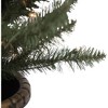 Northlight 2ct Prelit Artificial Christmas Tree Potted Porch Pine Topiary - Clear Lights - 4 of 4