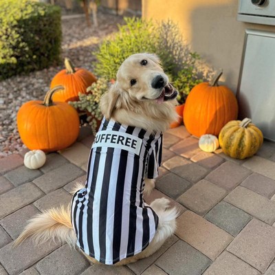 Target, Dog, Black White Xs Pc Rufferee Pet Costume New Referee Halloween  Sports Dogs Cat