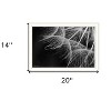 HomeRoots Delicate Beauty White Framed Print Wall Art - 3 of 4