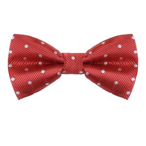 Allegra K Men's Pre-Tied Adjustable Polka Dots Tuxedo Work Party Prom Bow Ties - 1 of 4