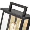 C Cattleya 1-Light Matte Black Outdoor Wall Light with Gold Reflector and Clear Glass Shade - 4 of 4