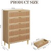 PB+PE Rattan Vertical 5-Drawer Cabinet (U7 5RDrawer002), Wood Tone, Space-Saving Vertical Style, Bedroom Cabinet - 2 of 4