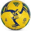 Vizari Mini National Team Soccer Balls - 3 of 4
