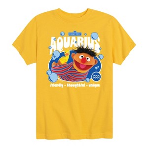 Boys' - Sesame Street - Ernie Aquarius Short Sleeve Graphic T-Shirt - 1 of 4