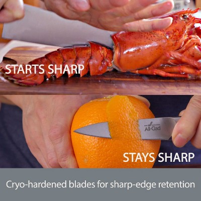 All-Clad 8 Inch Knife & 6 Inch Fork, Forged Knives Carving Set