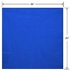 10ct Tissue Papers Blue/White - 4 of 4