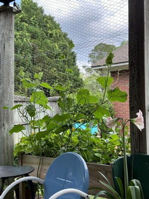 Guest review image 1 of 2, zoom in