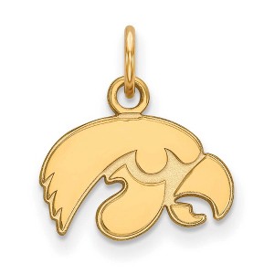 Black Bow Jewelry 10k Yellow Gold Iowa Hawkeyes NCAA Extra Small Pendant - 1 of 3