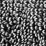 charcoal