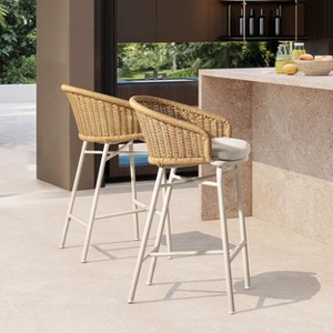 PAGED Outdoor Dining Chairs Set of 2 Aluminum Frame Outdoor Chair with Barrel Back Design and Rope Weaving for Poolside, Balcony, Lawn - 1 of 4