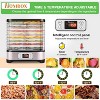 Homdox 400W Food Dehydrator Machine 8 BPA-Free Trays 72H Timer Professional Jerky Fruit Meat Dryer FREE Fruit Roll Sheet - 4 of 4