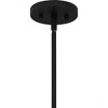 Quoizel Lighting Fortress 1 - Light Pendant in  Earth Black - 3 of 4