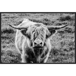 33" x 23" Highland Cow Staring Contest by Nathan Larson: Amanti Art Canvas Wall Decor - 1 of 4
