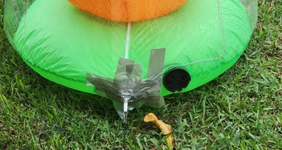 Guest review image 1 of 1, zoom in