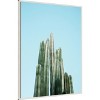 Amanti Art Tall Cacti by Raisa Zwart Canvas Wall Art Print Framed 32-in. W x 42-in. H. - 2 of 4