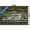Trends International The Comedy Wildlife Photography Awards: Delphine Casimir - The Rainforest Dandy Framed Wall Poster Prints - 3 of 4