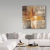 Trademark Fine Art -Silvia Vassileva 'Silver And Amber Crop' Canvas Art - 3 of 3