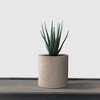 Rosemead Home & Garden Concrete Outdoor Planter Pot Beige 12.9"x12.9"x12.6" - 4 of 4