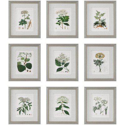 Uttermost Antique Botanicals 19 1/2" High 9-Piece Framed Wall Art Set