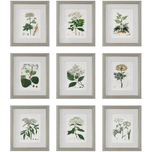 Uttermost Antique Botanicals 19 1/2" High 9-Piece Framed Wall Art Set - 1 of 1