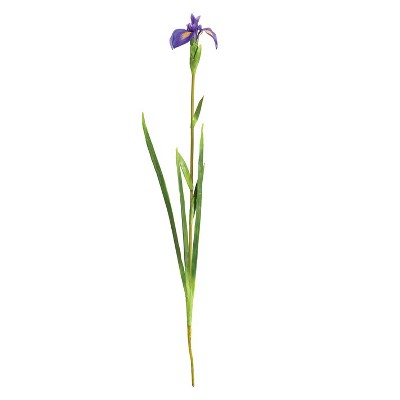 Plum & Post Dutch Iris Stem 35"