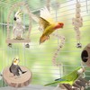 Unique Bargains Bird Toys Coconut Hideaway with Ladder Swing - 4 of 4