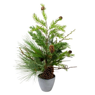 Northlight 2' Potted Mixed Pine, Cedar and Twig Artificial Christmas Tree - Unlit