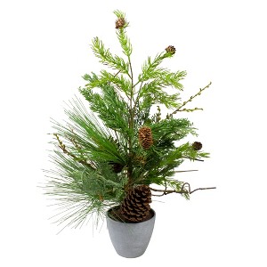 Northlight Real Touch™️ Potted Mixed Pine and Cedar Artificial Christmas Tree - 24" - Unlit - 1 of 4