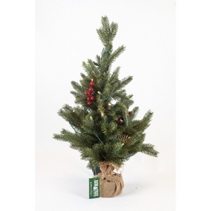 Season's Designs 24" Green Pine Artificial Christmas Tree Red Berries Pinecones in Burlap Sack Indoor Decoration with 20 LED Clear Lights - 1 of 1