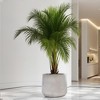 Wooakway 14" Dia Outdoor Indoor Ceramic Planter Pot Decorative Planter with Drainage Hole Patio Flower Pot - 2 of 4