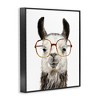 Stupell Industries Llama Farm Animal Eyeglasses Black Framed Giclee Art - 3 of 4