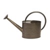 Panacea Metal Embossed Watering Can, Rustic Black, 1 Gallon - 2 of 2