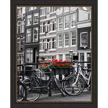 Amanti Art Accent Bronze Narrow Picture Frame