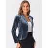 INSPIRE CHIC Women's Notched Lapel Long Sleeve Office Button Velvet Suit Blazer - 2 of 4