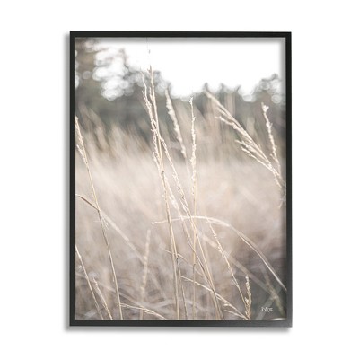 Stupell Tall Grass Countryside Field Framed Giclee